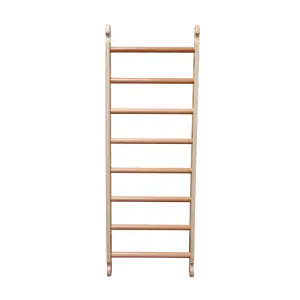 Climbing Ladder