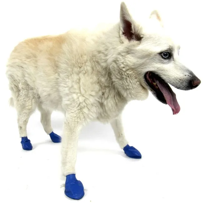 PawZ Dog Boots (12-pack)