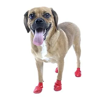 PawZ Dog Boots (12-pack)