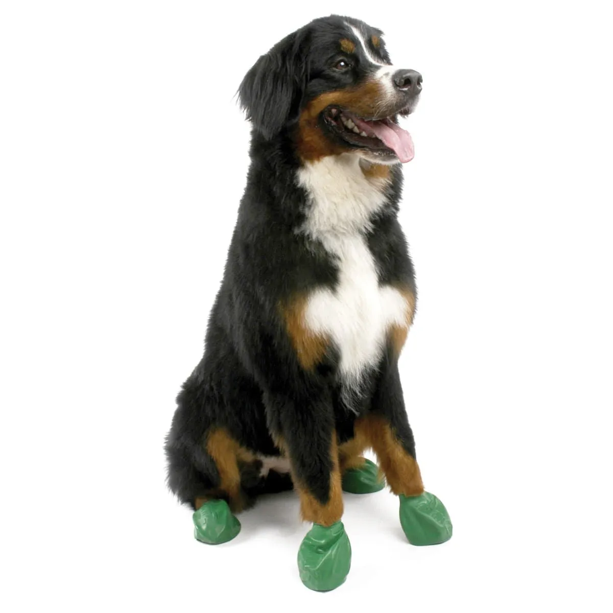 PawZ Dog Boots (12-pack)