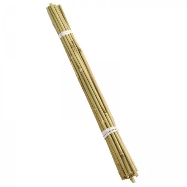 Smart Garden 60cm Bamboo Support Canes